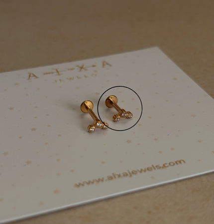 Dina Piercing