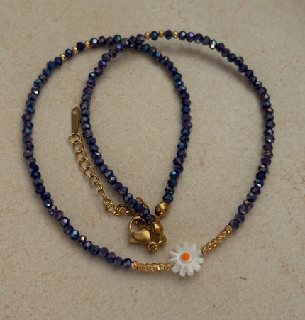 Collar Daisy