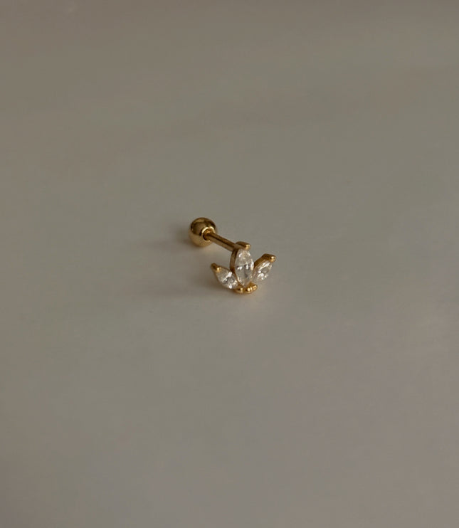 Piercing Marquesa