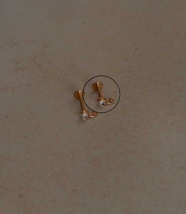 Tulipán Piercing
