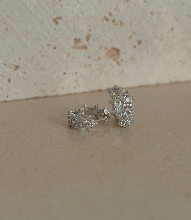 Pendientes Ara