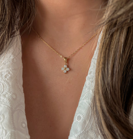 Conjunto Dalila