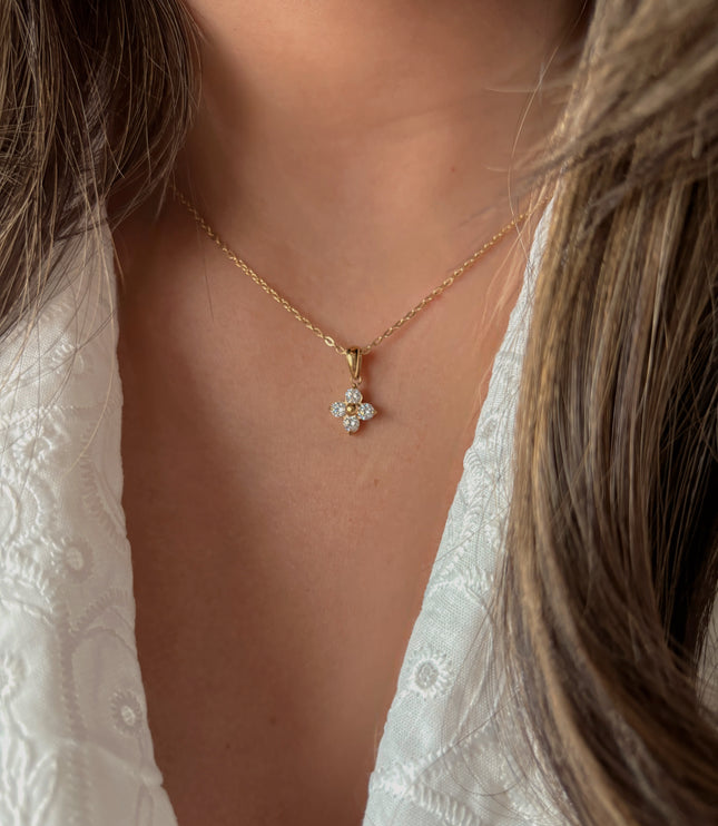 Conjunto Dalila