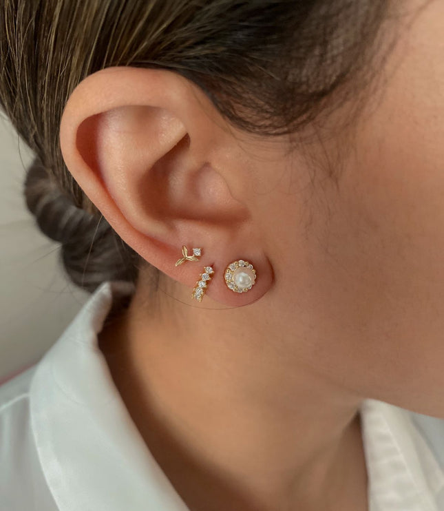 Ileana Studs