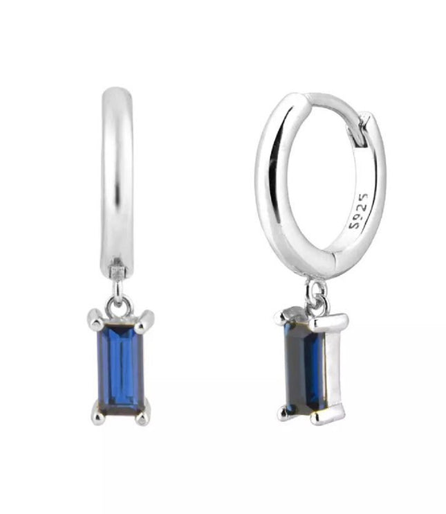 Ellen hoops Silver