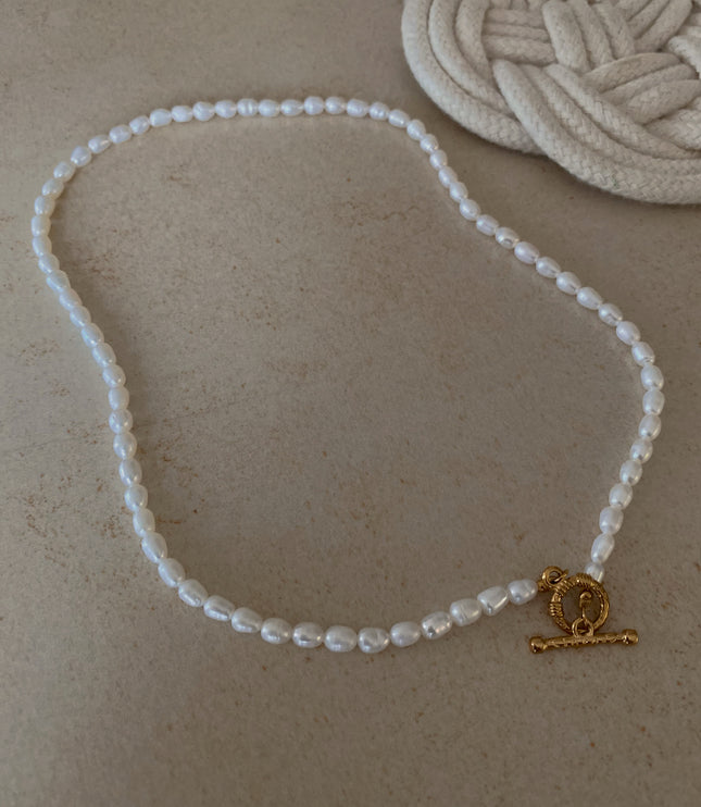 Collar Coralina
