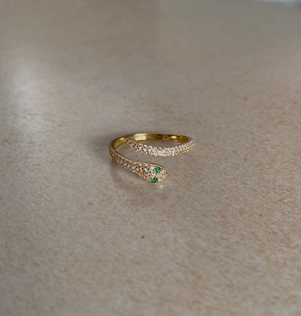Anillo Cascabel