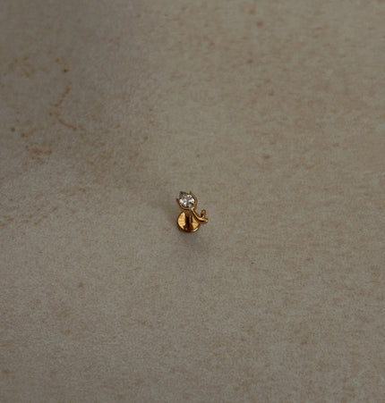 Tulipán Piercing