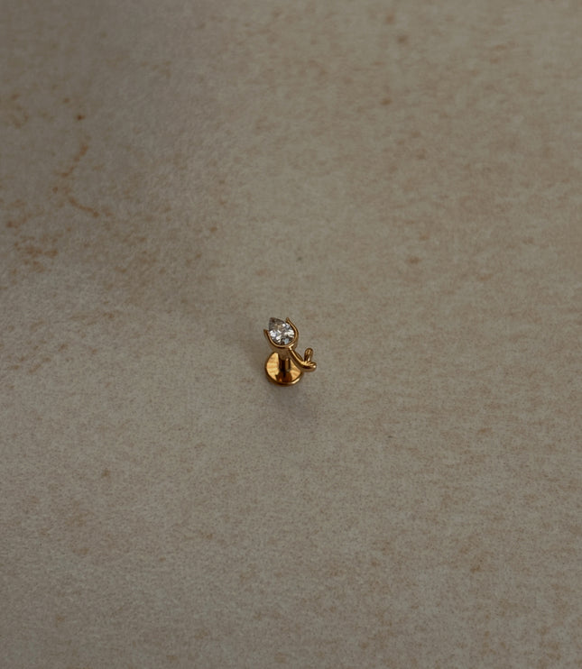 Tulipán Piercing
