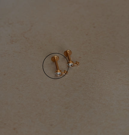 Tulipán Piercing