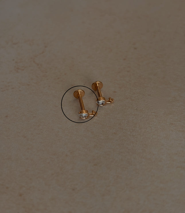 Tulipán Piercing