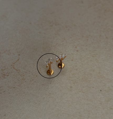 Sandy Piercing