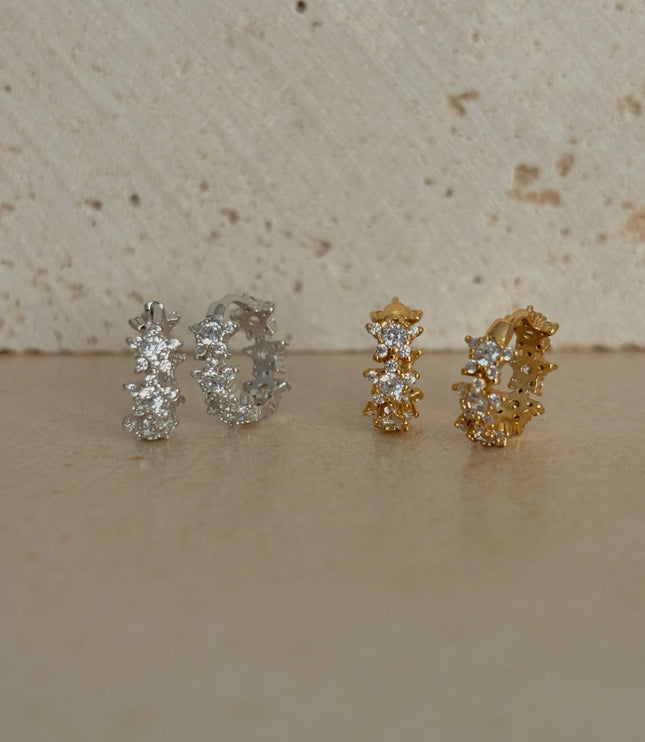Pendientes Ara