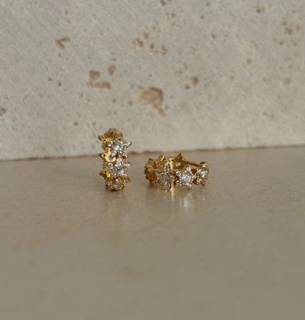 Pendientes Ara