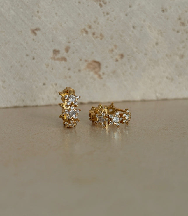 Pendientes Ara