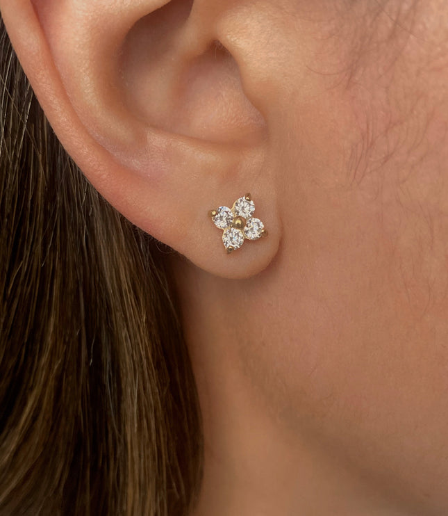 Studs Dalia