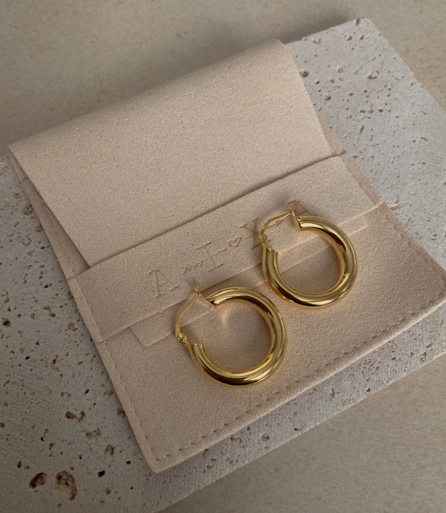 Aixa Hoops