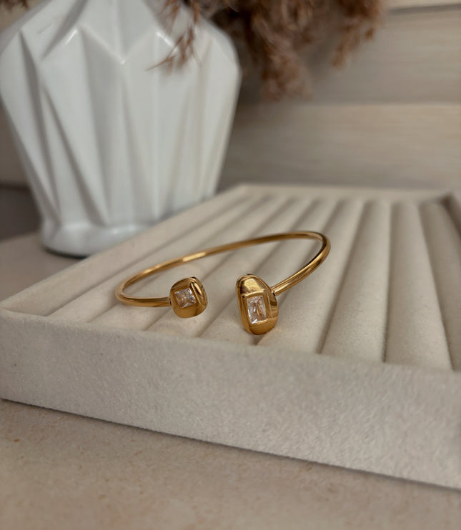 Vanessa Bangle