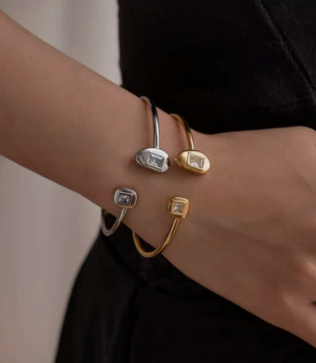 Vanessa Bangle