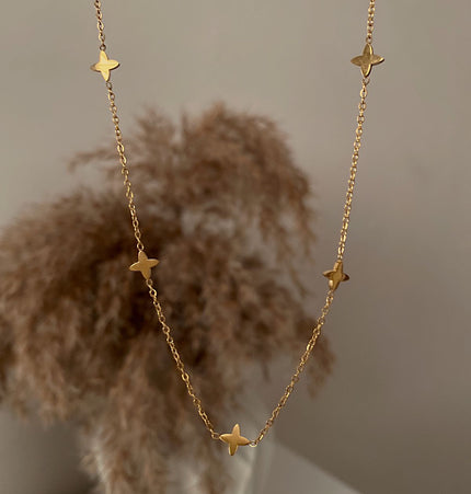Collar Astra