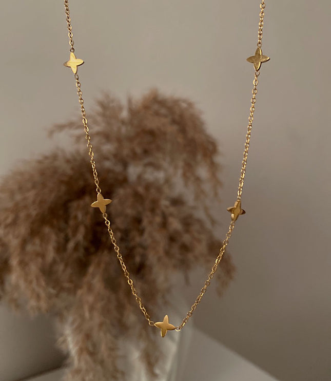 Collar Astra