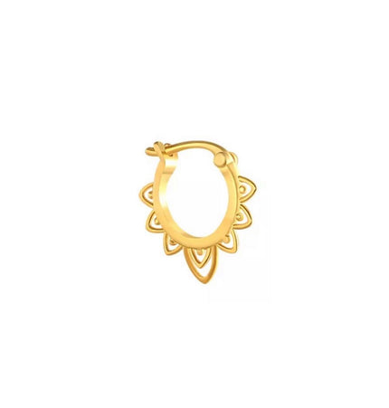 Lira hoop
