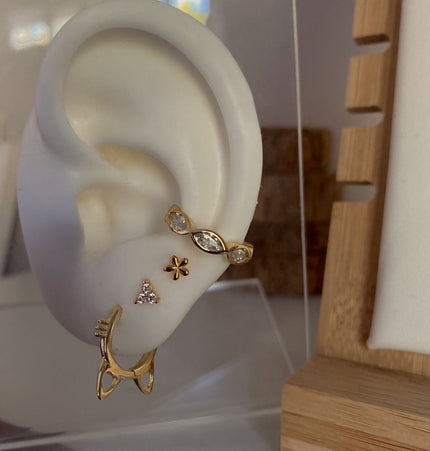Kitty hoops