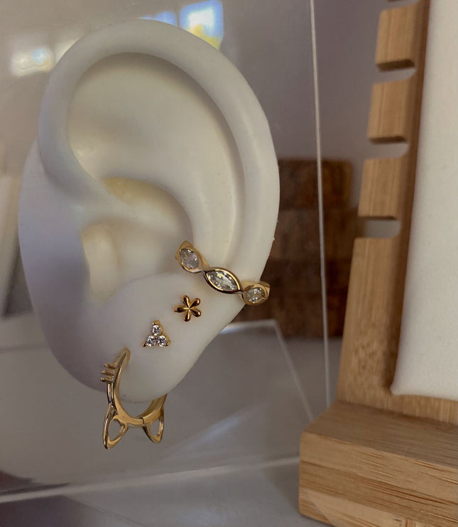 Kitty hoops