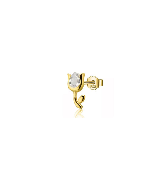 Mini Tulipan Gold