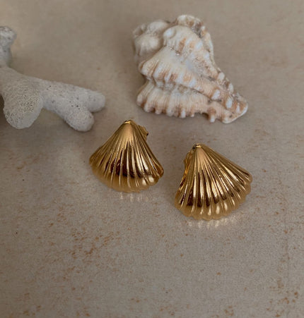 Pendientes Shell