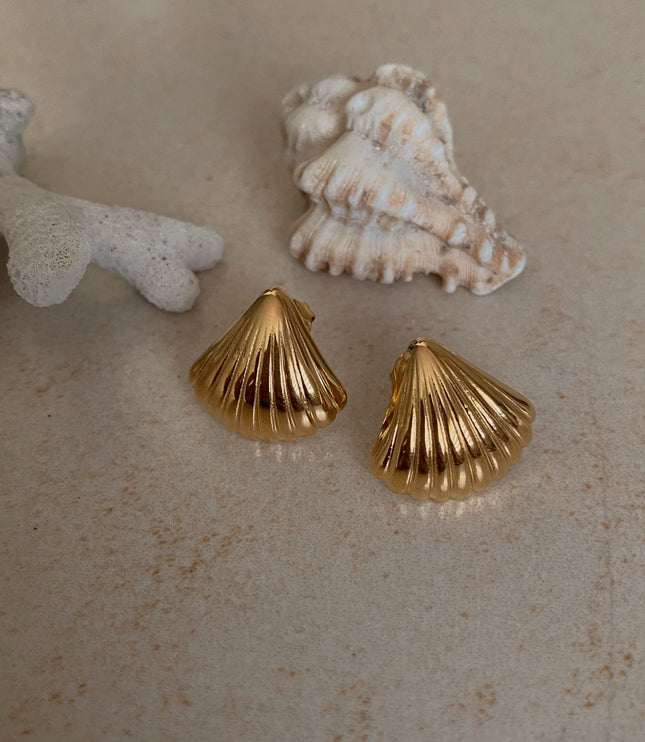 Pendientes Shell